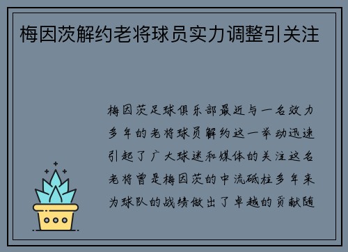 梅因茨解约老将球员实力调整引关注