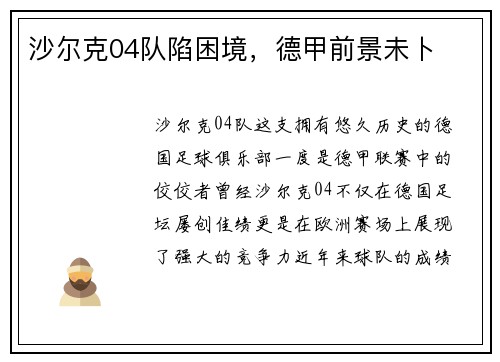 沙尔克04队陷困境，德甲前景未卜