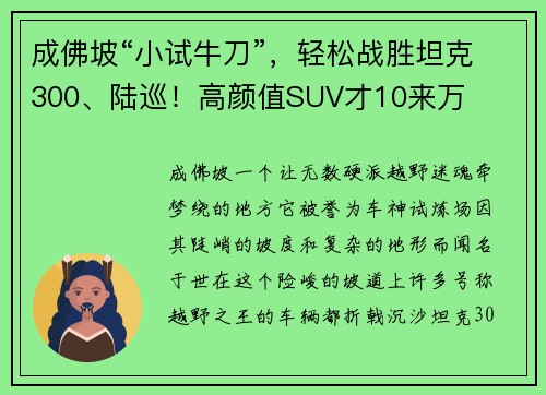 成佛坡“小试牛刀”，轻松战胜坦克300、陆巡！高颜值SUV才10来万