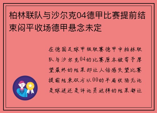 柏林联队与沙尔克04德甲比赛提前结束闷平收场德甲悬念未定
