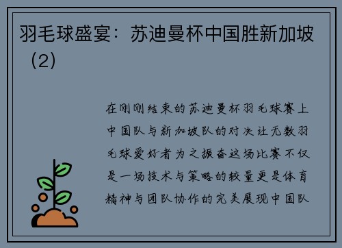 羽毛球盛宴：苏迪曼杯中国胜新加坡（2）